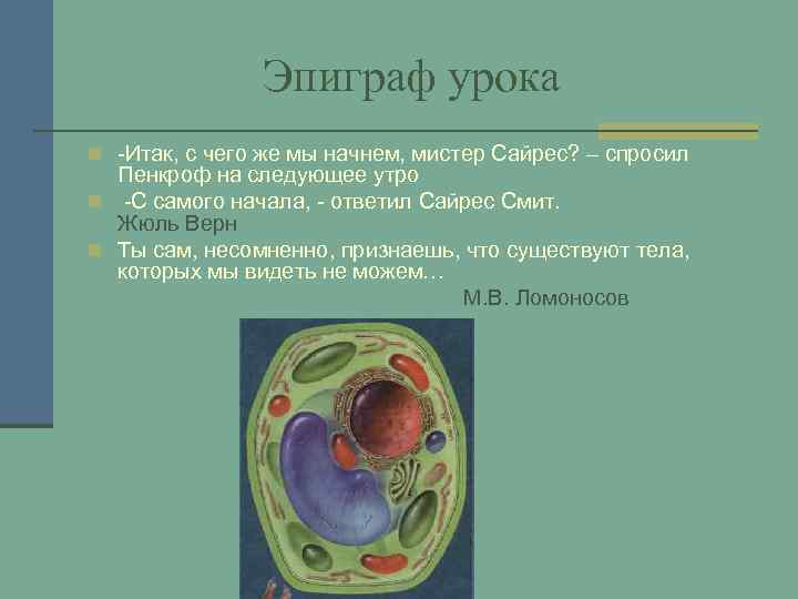 Эпиграф урока n -Итак, с чего же мы начнем, мистер Сайрес? – спросил Пенкроф