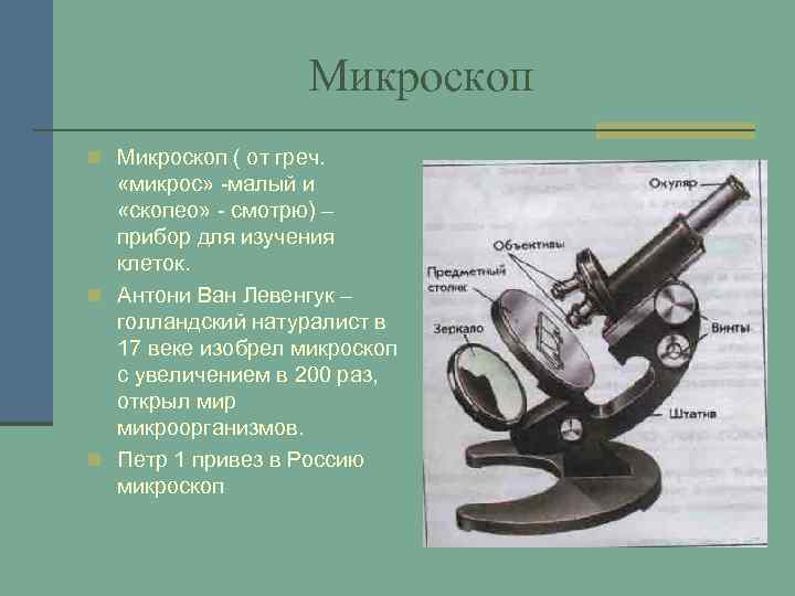 Микроскоп n Микроскоп ( от греч. «микрос» -малый и «скопео» - смотрю) – прибор