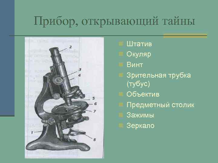 Прибор, открывающий тайны n Штатив n Окуляр n Винт n Зрительная трубка n n