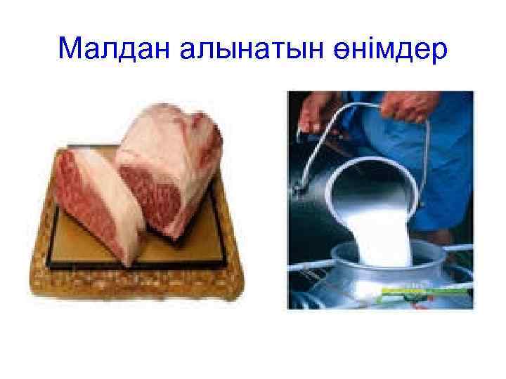 Малдан алынатын өнімдер 