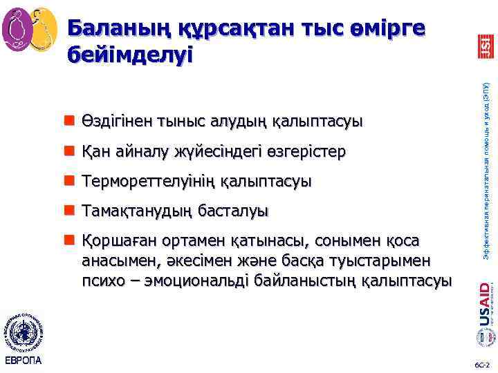 n Өздігінен тыныс алудың қалыптасуы n Қан айналу жүйесіндегі өзгерістер n Термореттелуінің қалыптасуы n