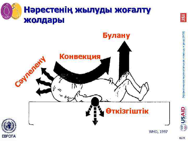 Нәрестенің жылуды жоғалту жолдары Эффективная перинатальная помощь и уход (ЭПУ) Конвекция Сә ул ел