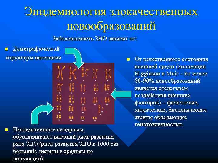 Эпидемиология злокачественных новообразований Заболеваемость ЗНО зависит от: Демографической структуры населения n n Наследственные синдромы,