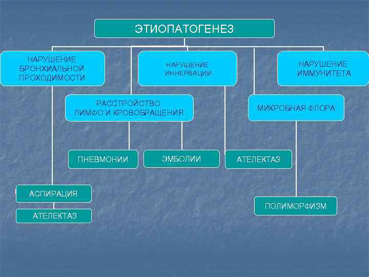 ЭТИОПАТОГЕНЕЗ НАРУШЕНИЕ БРОНХИАЛЬНОЙ ПРОХОДИМОСТИ РАССТРОЙСТВО ЛИМФО И КРОВОБРАЩЕНИЯ ПНЕВМОНИИ НАРУШЕНИЕ ИММУНИТЕТА НАРУШЕНИЕ ИННЕРВАЦИИ ЭМБОЛИИ