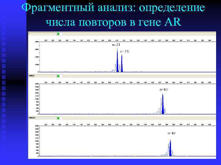 Фрагментный анализ: определение числа повторов в гене AR 