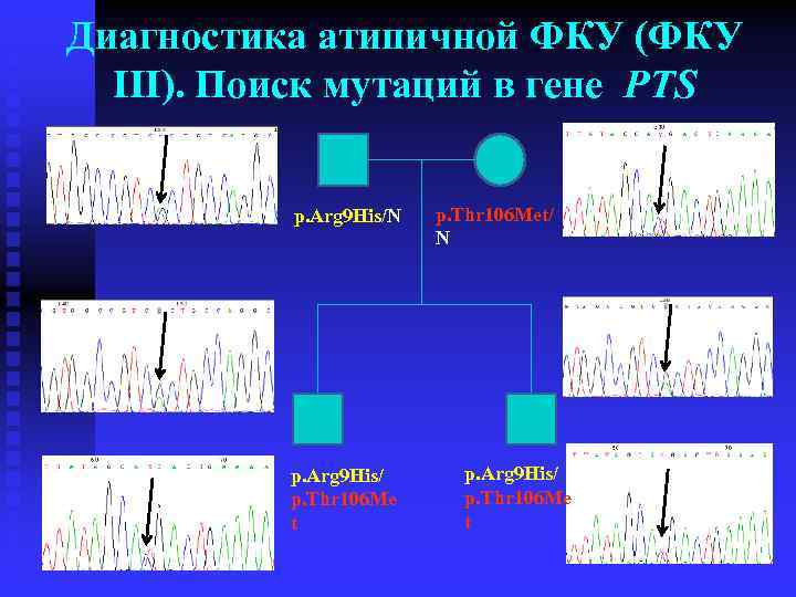 Диагностика атипичной ФКУ (ФКУ III). Поиск мутаций в гене PTS p. Arg 9 His/N