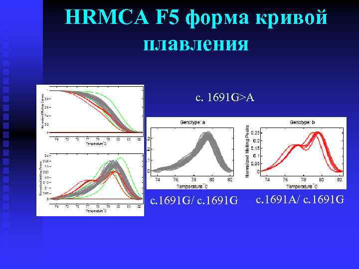 HRMCA F 5 форма кривой плавления c. 1691 G>A c. 1691 G/ c. 1691