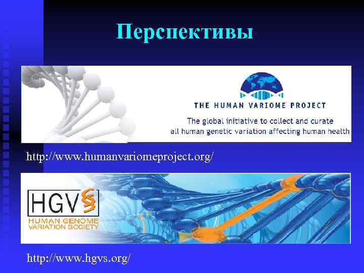 Перспективы http: //www. humanvariomeproject. org/ http: //www. hgvs. org/ 