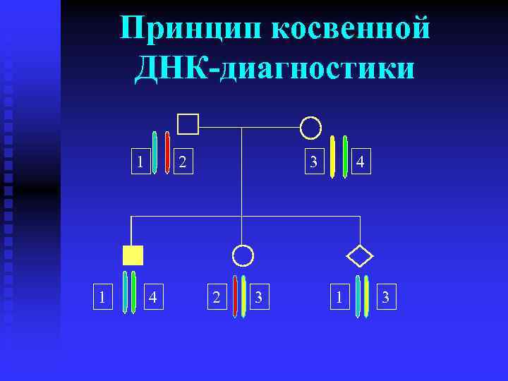 Принцип косвенной ДНК-диагностики 1 1 2 4 3 2 3 4 1 3 