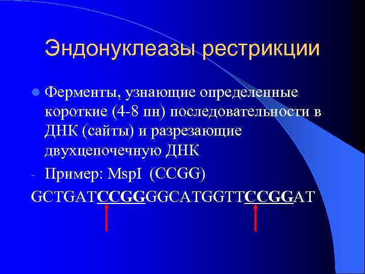 Проверить ферменты. Эндонуклеазы рестрикции (рестриктазы) – это. Ферменты рестрикции. Фермент ДНК-эндонуклеаза. Фермент эндонуклеаза.