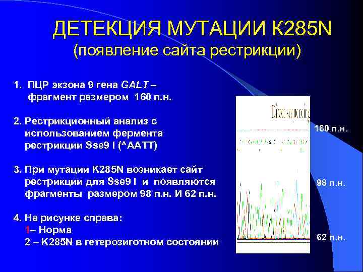 ДЕТЕКЦИЯ МУТАЦИИ К 285 N (появление сайта рестрикции) 1. ПЦР экзона 9 гена GALT