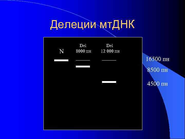 Делеции мт. ДНК N Del 8000 пн Del 12 000 пн 16500 пн 8500