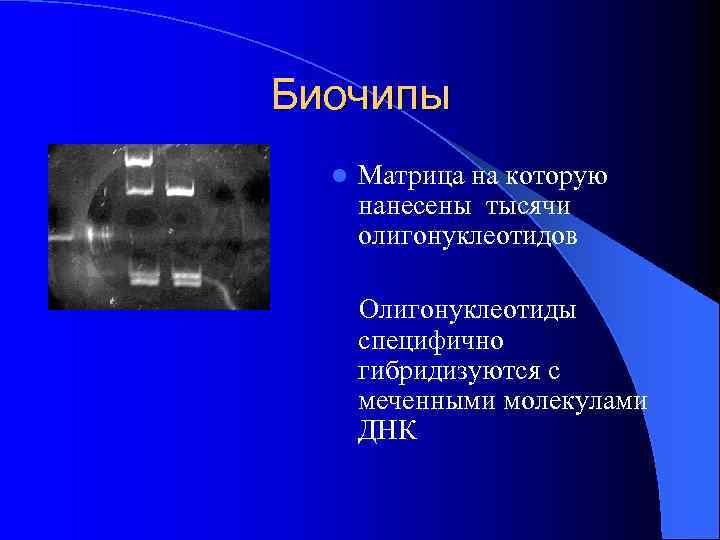 Биочипы l Матрица на которую нанесены тысячи олигонуклеотидов Олигонуклеотиды специфично гибридизуются с меченными молекулами