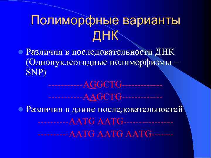 Полиморфные варианты ДНК l Различия в последовательности ДНК (Однонуклеотидные полиморфизмы – SNP) ------AGGCTG------------AAGCTG------l Различия