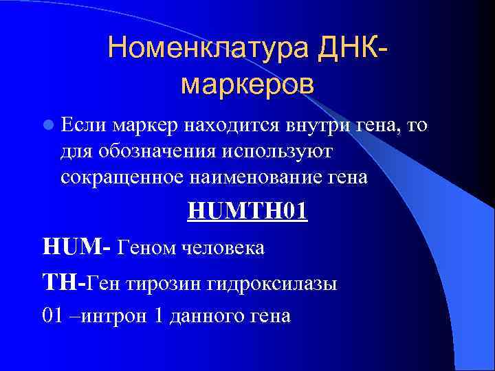 Номенклатура ДНКмаркеров l Если маркер находится внутри гена, то для обозначения используют сокращенное наименование