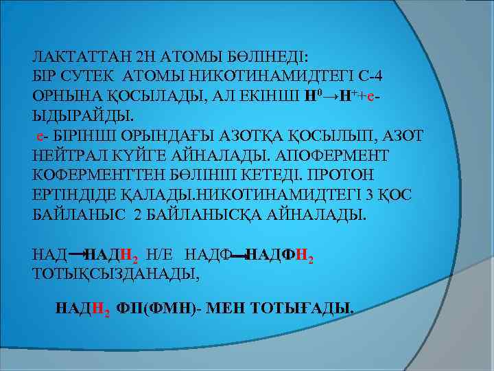 ЛАКТАТТАН 2 Н АТОМЫ БӨЛІНЕДІ: БІР СУТЕК АТОМЫ НИКОТИНАМИДТЕГІ С-4 ОРНЫНА ҚОСЫЛАДЫ, АЛ ЕКІНШІ