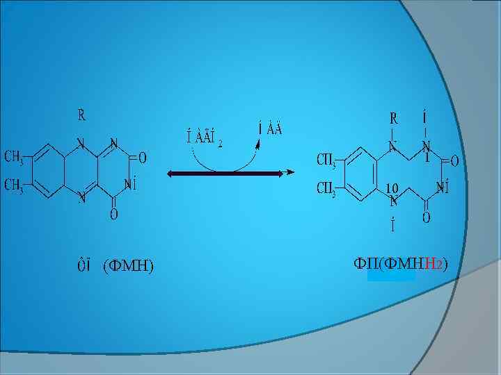 1 10 (ФМН) ФП(ФМНН 2) 