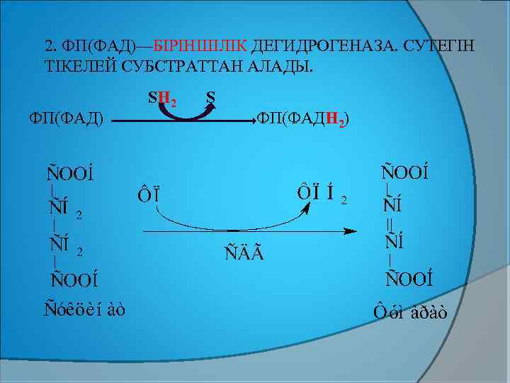 2. ФП(ФАД)—БІРІНШІЛІК ДЕГИДРОГЕНАЗА. СУТЕГІН ТІКЕЛЕЙ СУБСТРАТТАН АЛАДЫ. ФП(ФАД) SН 2 S ФП(ФАДН 2) 