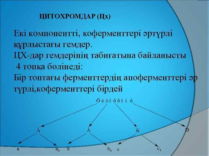 ЦИТОХРОМДАР (Цх) Екі компонентті, коферменттері әртүрлі құрлыстағы гемдер. ЦХ-дар гемдерінің табиғатына байланысты 4 топқа