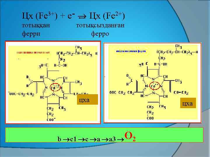 Цх (Fe 3+) + e ־ Цх (Fe 2+) тотыққан ферри тотықсызданған ферро цха