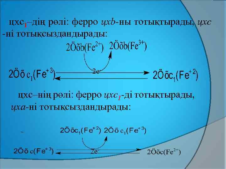цхс1–дің рөлі: ферро цхb-ны тотықтырады, цхс -ні тотықсыздандырады: 2 e- цхс–нің рөлі: ферро цхс1