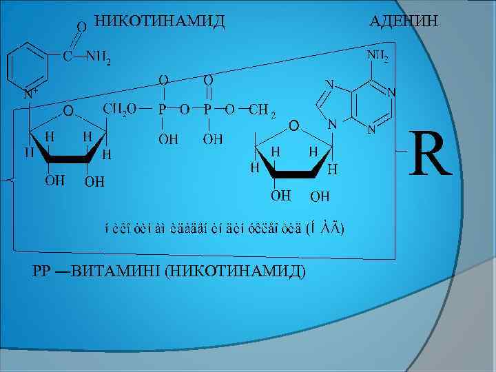 НИКОТИНАМИД АДЕНИН R РР ―ВИТАМИНІ (НИКОТИНАМИД) 