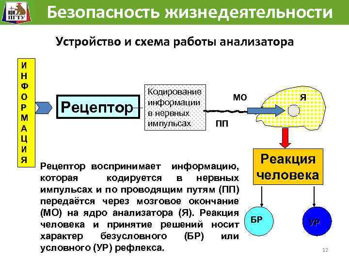 Общая схема анализатора