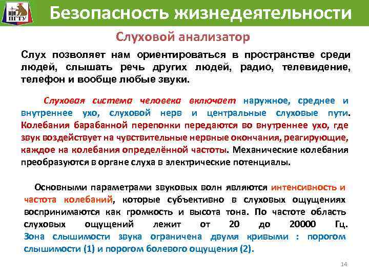 Безопасность жизнедеятельности Человек как сложная механическая, биологическая, химическая система. Слуховой анализатор Слух позволяет нам
