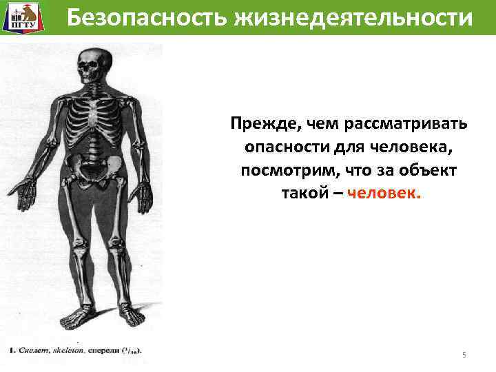 Безопасность жизнедеятельности Прежде, чем рассматривать опасности для человека, посмотрим, что за объект такой –