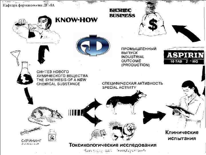Клинические испытания Токсикологические исследования 