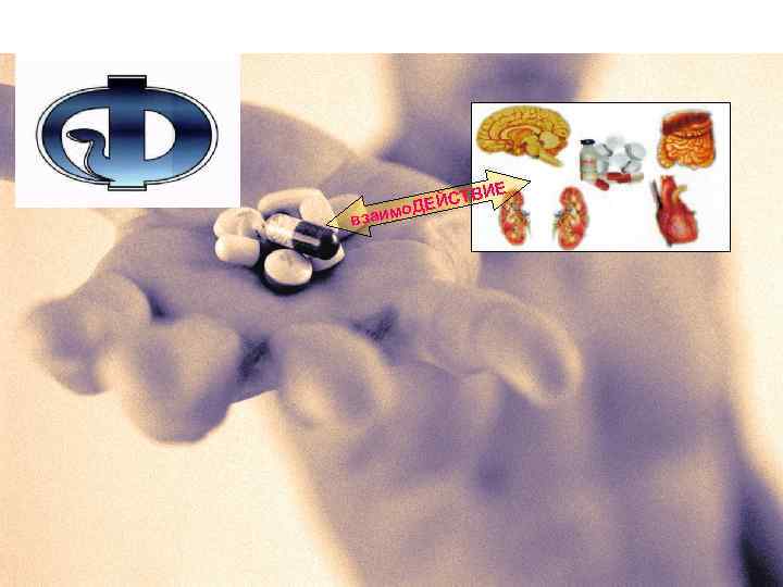 ИЕ взаим СТВ о. ДЕЙ 