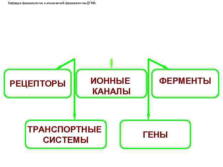 Кафедра фармакологии и клинической фармакологии ДГМА РЕЦЕПТОРЫ ИОННЫЕ КАНАЛЫ ТРАНСПОРТНЫЕ СИСТЕМЫ ФЕРМЕНТЫ ГЕНЫ 
