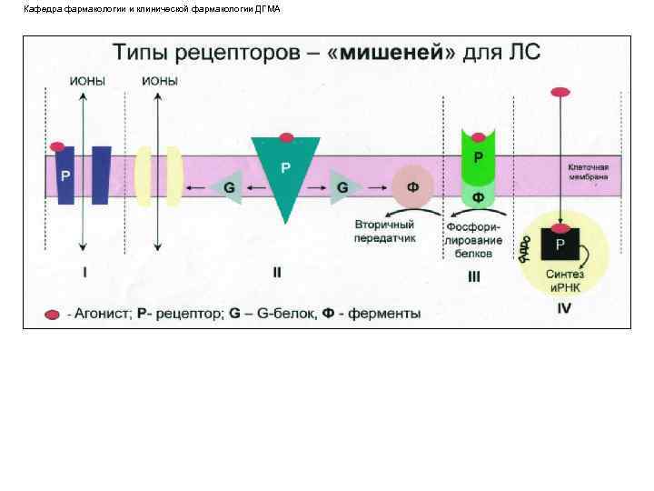 Кафедра фармакологии и клинической фармакологии ДГМА 