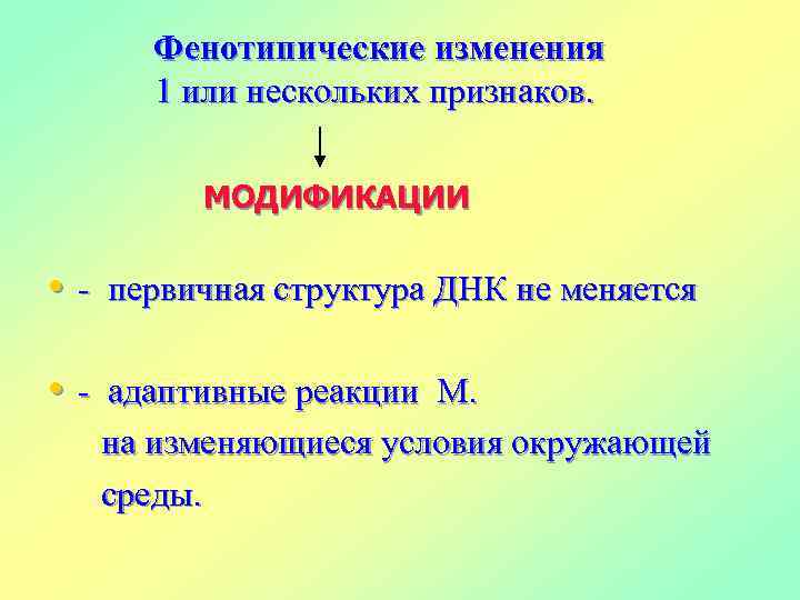 Фенотипические изменения 1 или нескольких признаков. МОДИФИКАЦИИ • - первичная структура ДНК не меняется