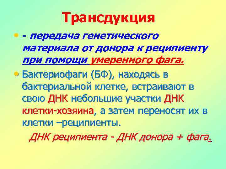 Трансдукция • - передача генетического материала от донора к реципиенту при помощи умеренного фага.