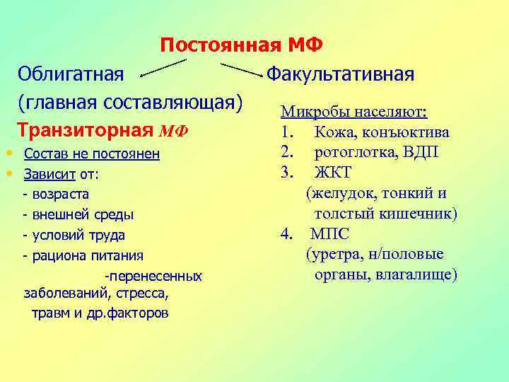 Постоянная МФ Облигатная Факультативная (главная составляющая) Микробы населяют: Транзиторная МФ 1. Кожа, конъюктива •