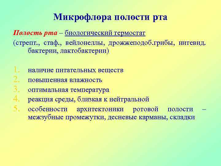 Микрофлора полости рта Полость рта – биологический термостат (стрепт. , стаф. , вейлонеллы, дрожжеподоб.