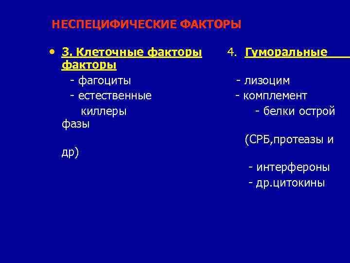  НЕСПЕЦИФИЧЕСКИЕ ФАКТОРЫ • 3. Клеточные факторы - фагоциты - естественные киллеры фазы др)