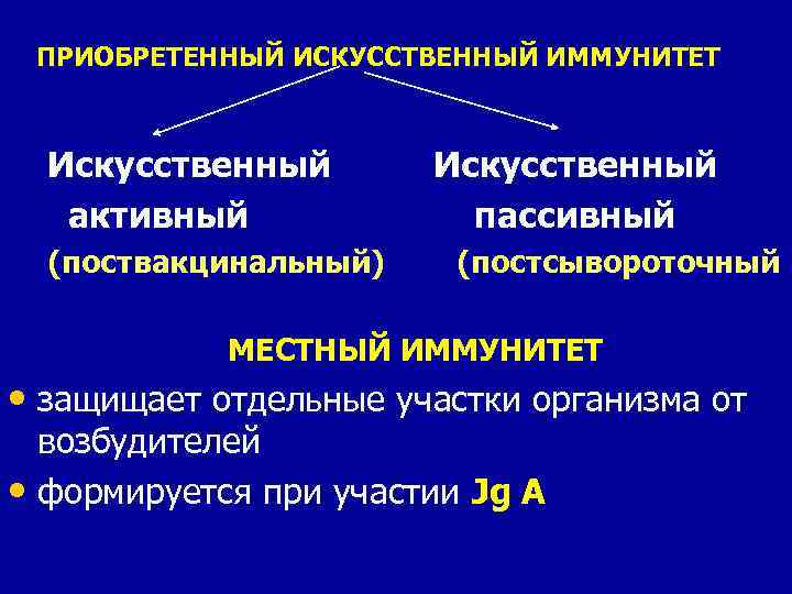 ПРИОБРЕТЕННЫЙ ИСКУССТВЕННЫЙ ИММУНИТЕТ Искусственный активный пассивный (поствакцинальный) (постсывороточный МЕСТНЫЙ ИММУНИТЕТ • защищает отдельные участки