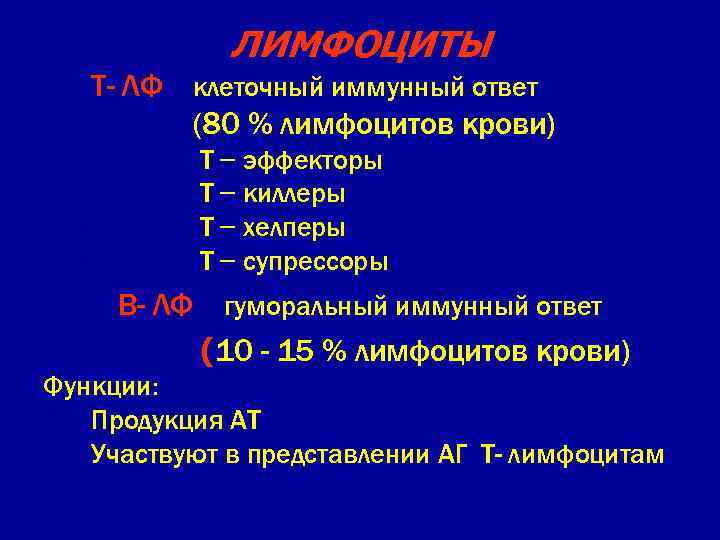 ЛИМФОЦИТЫ 1. 2. Т- ЛФ – клеточный иммунный ответ (80 % лимфоцитов крови) •