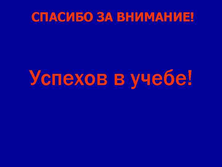  СПАСИБО ЗА ВНИМАНИЕ! Успехов в учебе! 