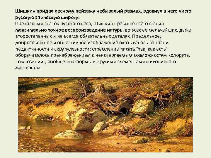 Шишкин придал лесному пейзажу небывалый размах, вдохнул в него чисто русскую эпическую широту. Прекрасный