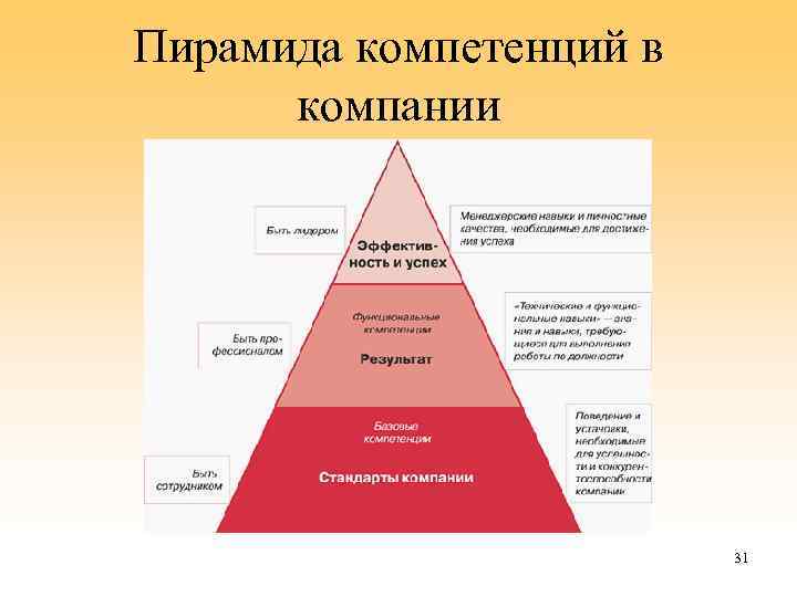Пирамида компетенций в компании 31 