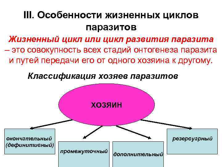 III. Особенности жизненных циклов паразитов Жизненный цикл или цикл развития паразита – это совокупность