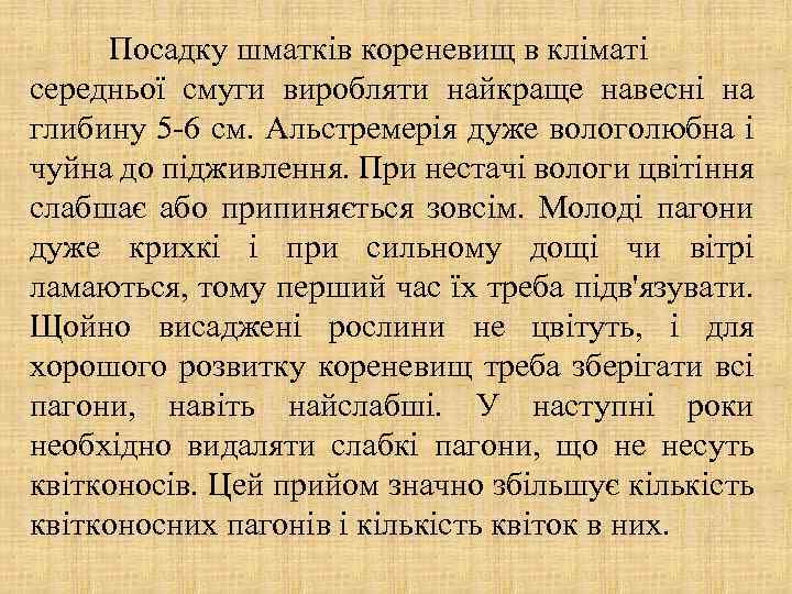 Посадку шматків кореневищ в кліматі середньої смуги виробляти найкраще навесні на глибину 5 -6