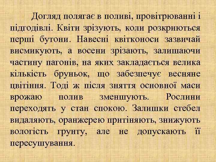 Догляд полягає в поливі, провітрюванні і підгодівлі. Квіти зрізують, коли розкриються перші бутони. Навесні