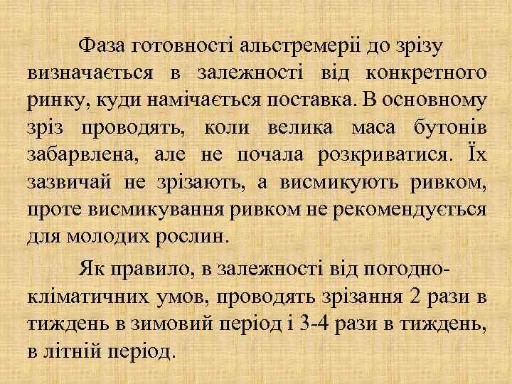 Фаза готовності альстремеріі до зрізу визначається в залежності від конкретного ринку, куди намічається поставка.