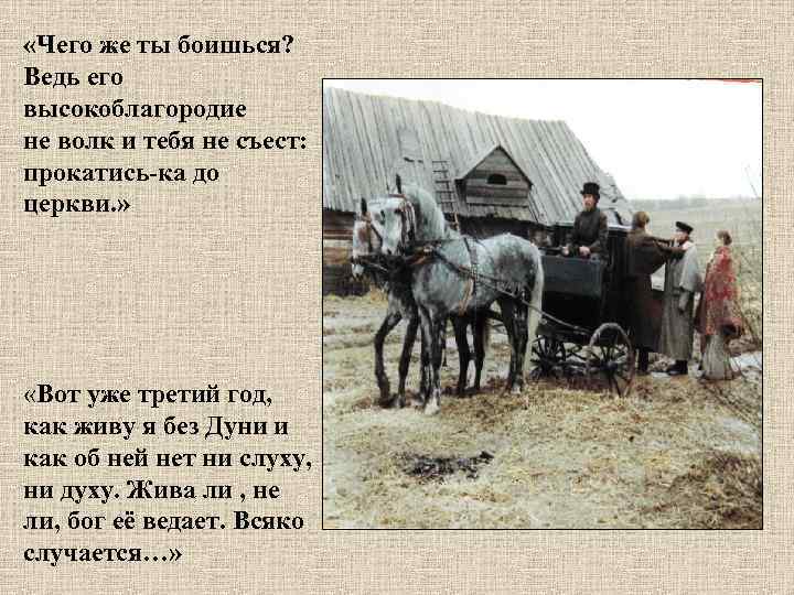 «Чего же ты боишься? Ведь его высокоблагородие не волк и тебя не съест: