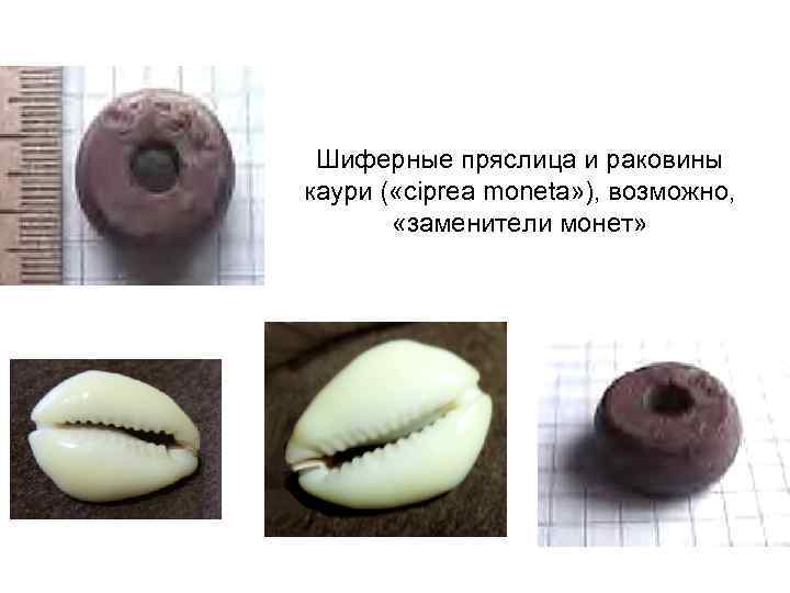 Шиферные пряслица и раковины каури ( «ciprea moneta» ), возможно, «заменители монет» 