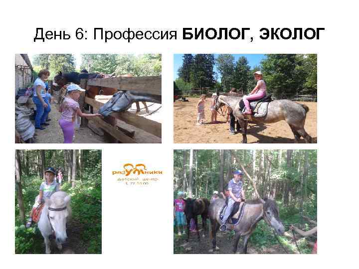 День 6: Профессия БИОЛОГ, ЭКОЛОГ 